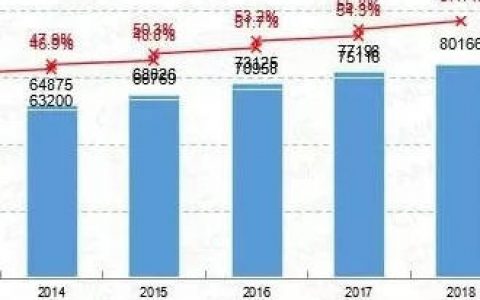 CNNIC第42次《中国互联网络发展状况统计报告》