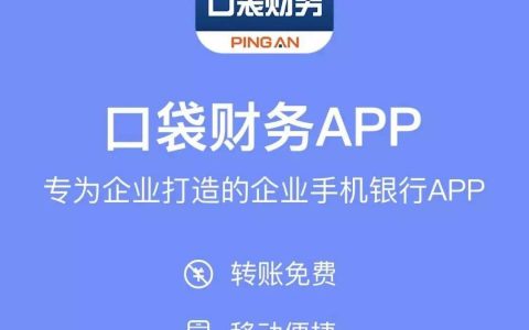 七大关键词揭秘“口袋财务App”