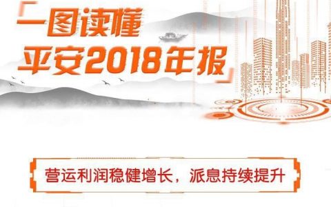 一图读懂平安2018年报