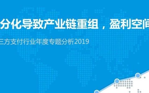 2019中国第三方支付行业年度专题分析