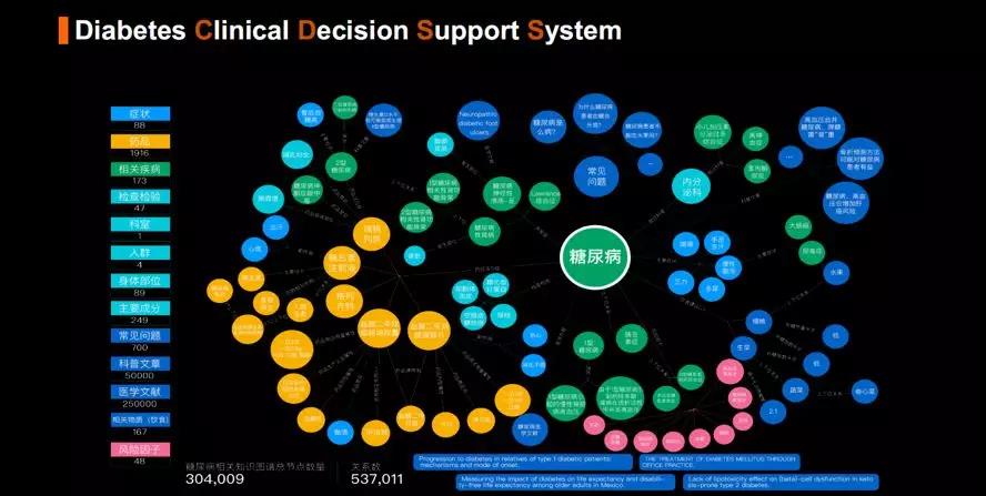 糖尿病临床决策支持系统.jpg