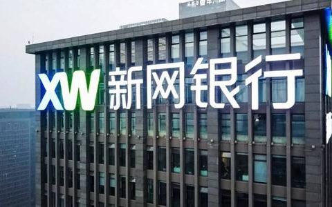 民营银行的困局：新网银行6%股权被拍卖