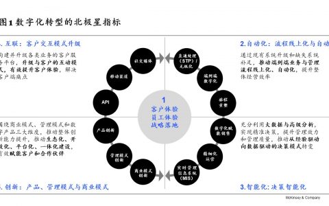 知易行难：金融机构数字化转型成功之道