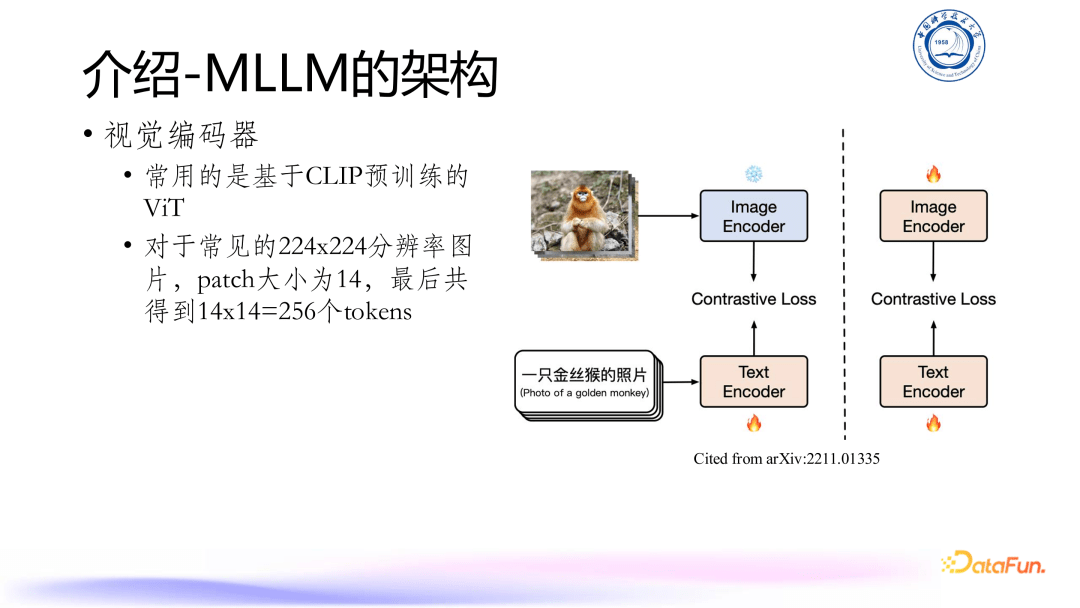 多模态大语言模型（MLLM）发展与展望