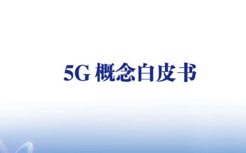 TMT：5G概念白皮书