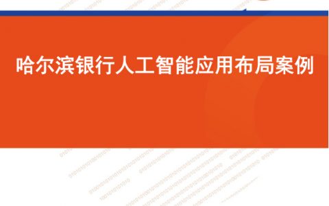 零壹智库：哈尔滨银行人工智能布局（15页）