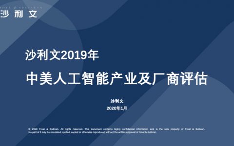 少利文：2019年中美人工智能产业及厂商评估白皮书（51页）