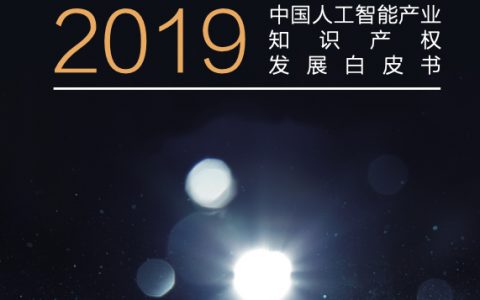 胡润研究院：2019中国人工智能产业知识产权发展白皮书（38页）