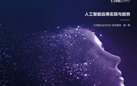 中国企业2020：人工智能应用实践与趋势