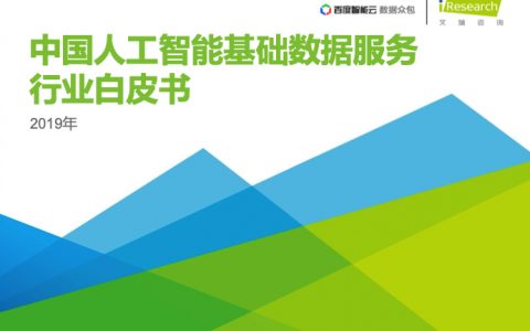 2019年中国人工智能基础数据服务白皮书