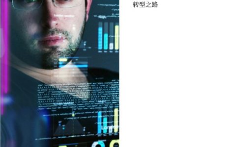 IBM：智能分析大行其道金融企业认知商业智能转型之路（9页）