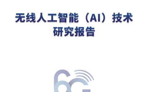 2022无线人工智能AI技术研究报告（110页）