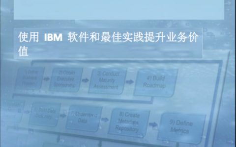 IBM 数据治理统一流程