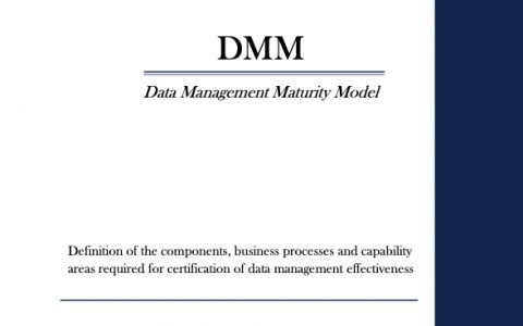 DMM数据成熟度模型