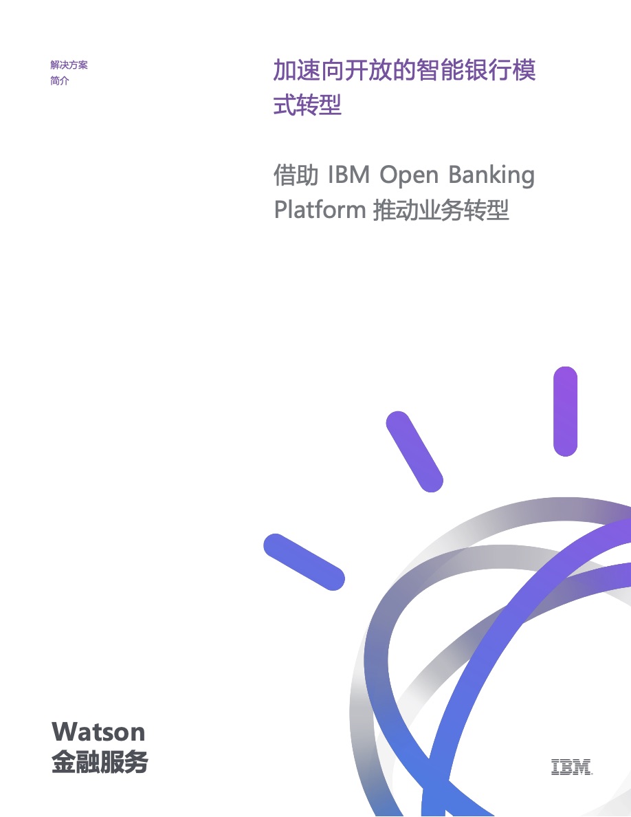 IBM咨询报告