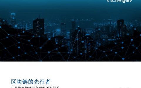 IBM：区块链的先行者