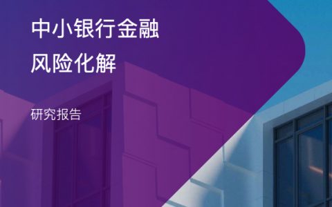 大成Dentons中小银行金融风险化解研究报告202227页