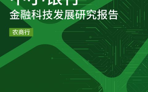 中小银行联盟：2019中小银行金融科技发展研究报告-农商行篇（69页）