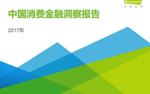 2017年中国消费金融洞察报告