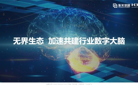 新华三：无界生态 加速共建行业数字大脑(15页)