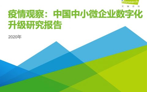 艾瑞：2020年中国中小微企业数字化升级研究报告（29页）