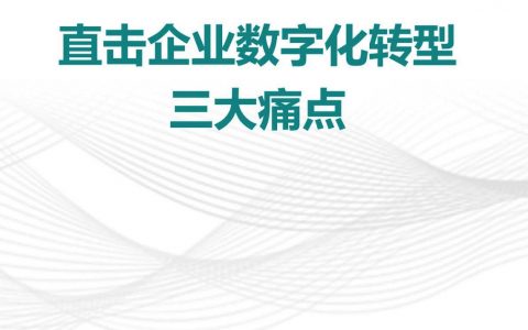 直击企业数字化转型三大痛点