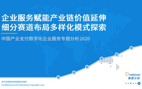 易观分析：2020中国产业支付数字化企业服务分析（32页）