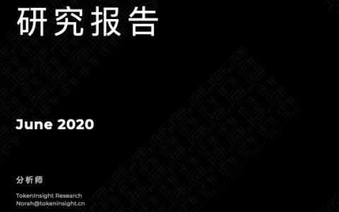 TokenInsight：2020数字资产支付行业研究报告（22页）