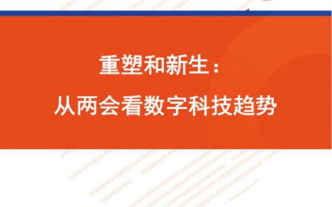 重塑和新生：从两会看数字科技趋势