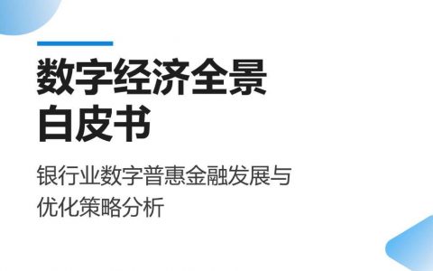 易观分析：2022数字经济全景白皮书-银行业数字普惠金融发展与优化策略分析（34页）