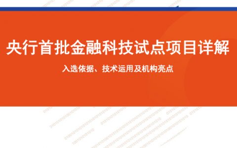 零壹智库：央行首批金融科技试点项目详解（20页）