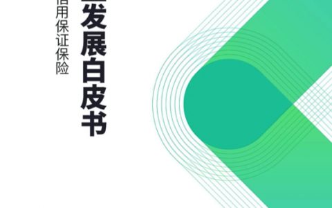 众安金融科技研究院：融资性信用保证保险行业发展白皮书（53页）