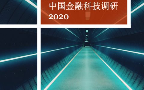 普华永道：中国金融科技调研2020（50页）