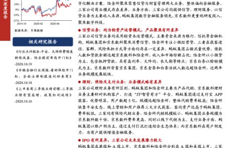 蚂蚁集团、京东数科和陆金所比较分析：金融科技巨头之间的角逐（31页）