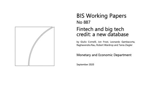 金融科技和大型科技信贷：一个新的数据库（英文版）（35页）