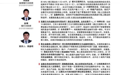 金融科技行业前沿系列报告之四：流量巨头的金融科技之路