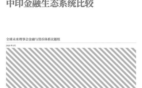 2020支付和金融科技的创新-中印金融生态系统比较报告（14页）