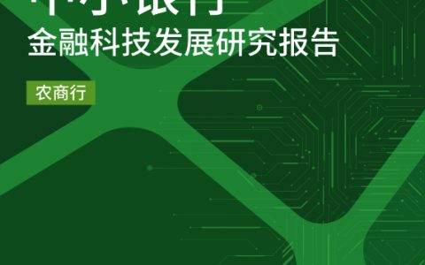 中小银行联盟：2019中小银行金融科技发展研究报告-农商行篇（69页）