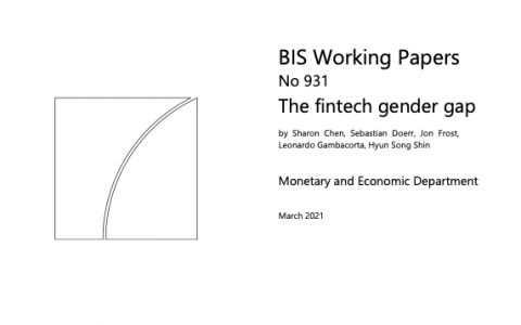 国际清算银行：金融科技的性别差异-英文版（40页）