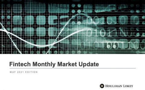 华利安：2021年5月金融科技市场月度更新报告-英文版（36页）
