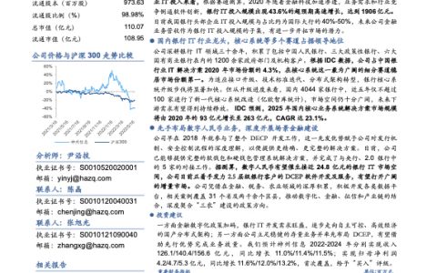 神州信息-聚焦金融科技业务分布式转型驱动发展加速（31页）