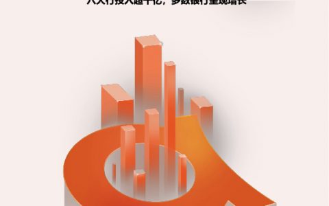 2021年国内上市银行科技投入大比拼（9页）