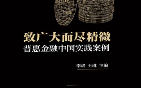 电子书：致广大而尽精微——普惠金融中国实践案例