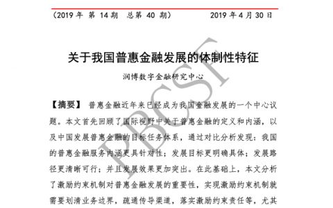 清华五道口：关于我国普惠金融发展的体制性特征(28页)