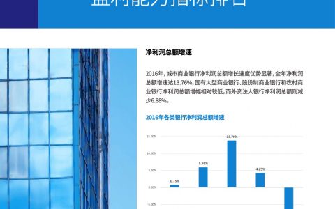 毕马威：2017年中国银行业调查报告——盈利能力指标排名（6页）