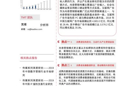 2019年中国内容营销行业市场研究