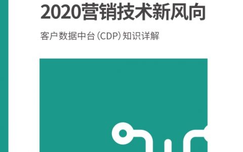 Linkflow：CDP—2020营销技术新风向(29页)