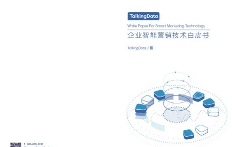 TalkingData：企业智能营销技术白皮书（27页）