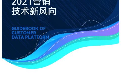 CDP白皮书2.0：2021营销技术新风向（84页）