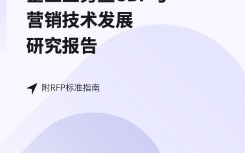 Convertlab：企业业务型CDP与营销技术发展研究报告附RFP标准指南（76页）